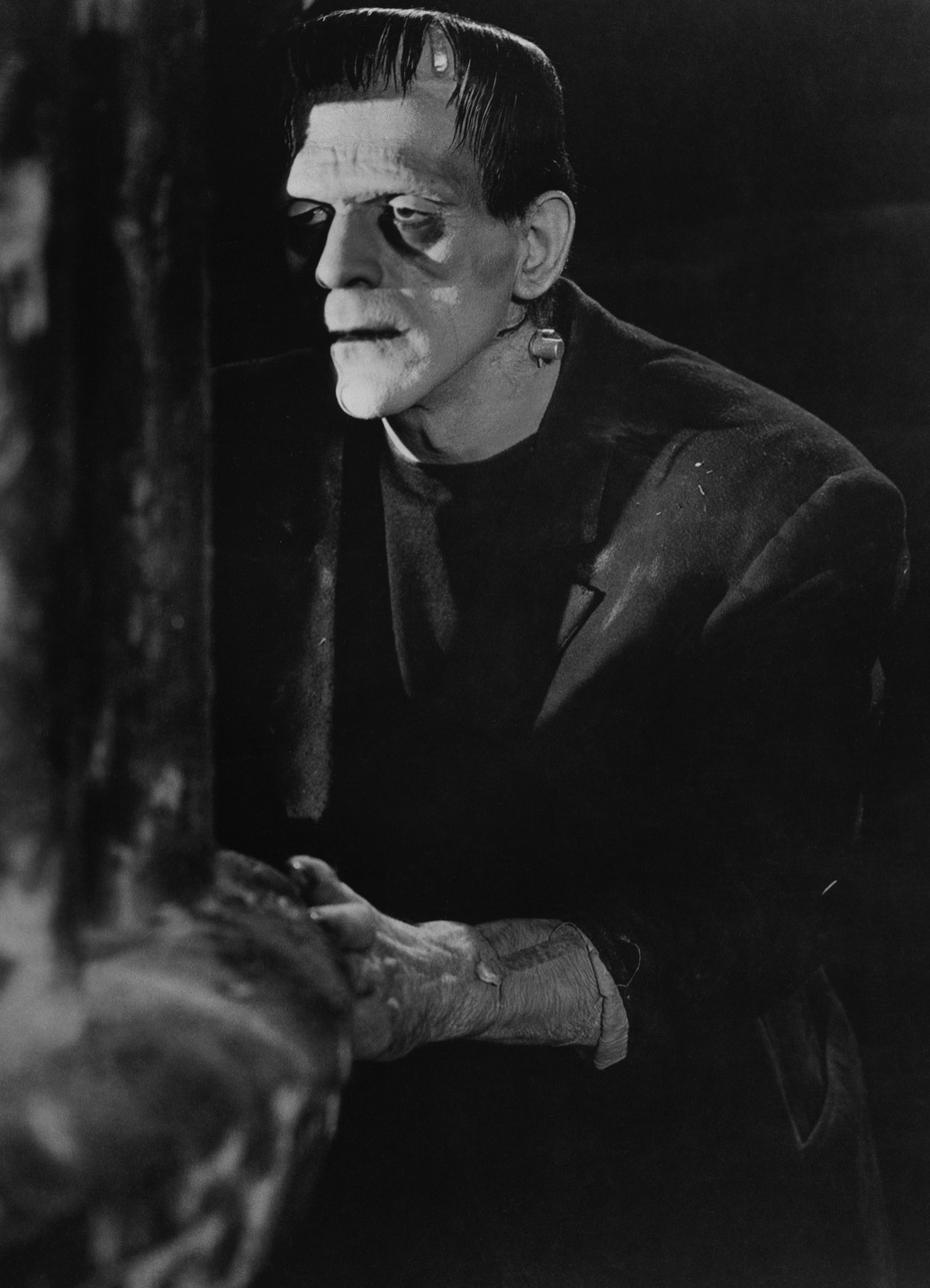 Universal’s Classic Monsters1033 x 1431